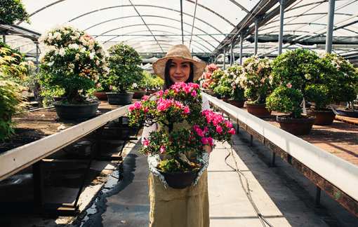 8 Best Garden Centers and Nurseries in Arkansas!